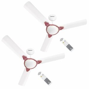Havells 1200mm Equs BLDC Motor Ceiling Fan | 5 Star with RF Remote, 100% Copper, Upto 57% Energy Saving | ECO Active Technology, Flexible Timer Setting, Memory Backup | (Pack of...